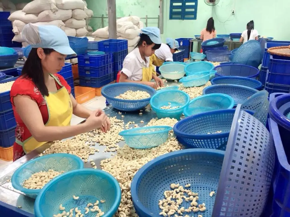 Орехи кешью Премиум качество WW 240 320 450 WS LP типы