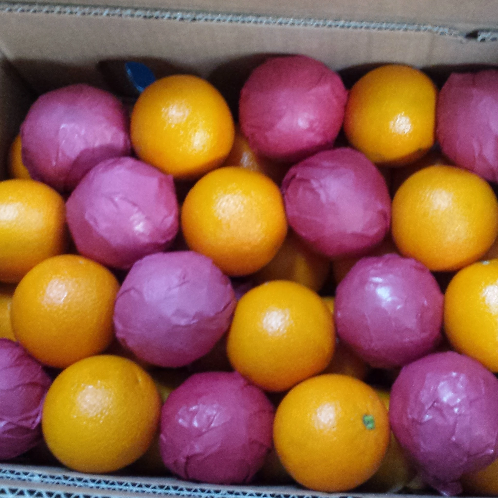 
fresh Navel Valencia oranges , Citrus from Egypt season 2020 