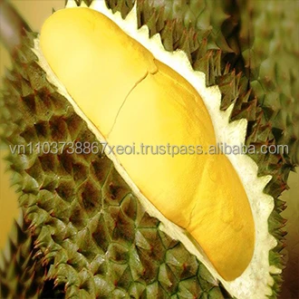 DURIAN VIET NAM/FRESH DURIAN /MS. Holiday +84-845-639-639 (Whatsapp)