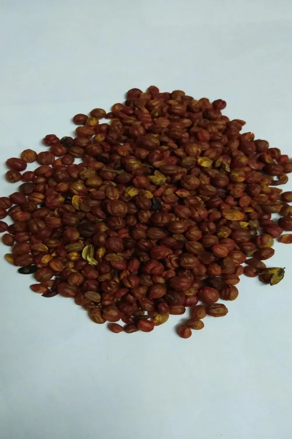 Celastrus Paniculatus Seeds/ Malkangni/jyotismati For Sale at Wholesale Suppliers India