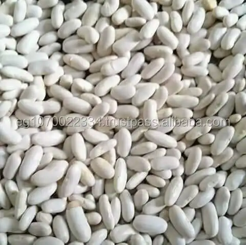 white kidney beans to Iraq