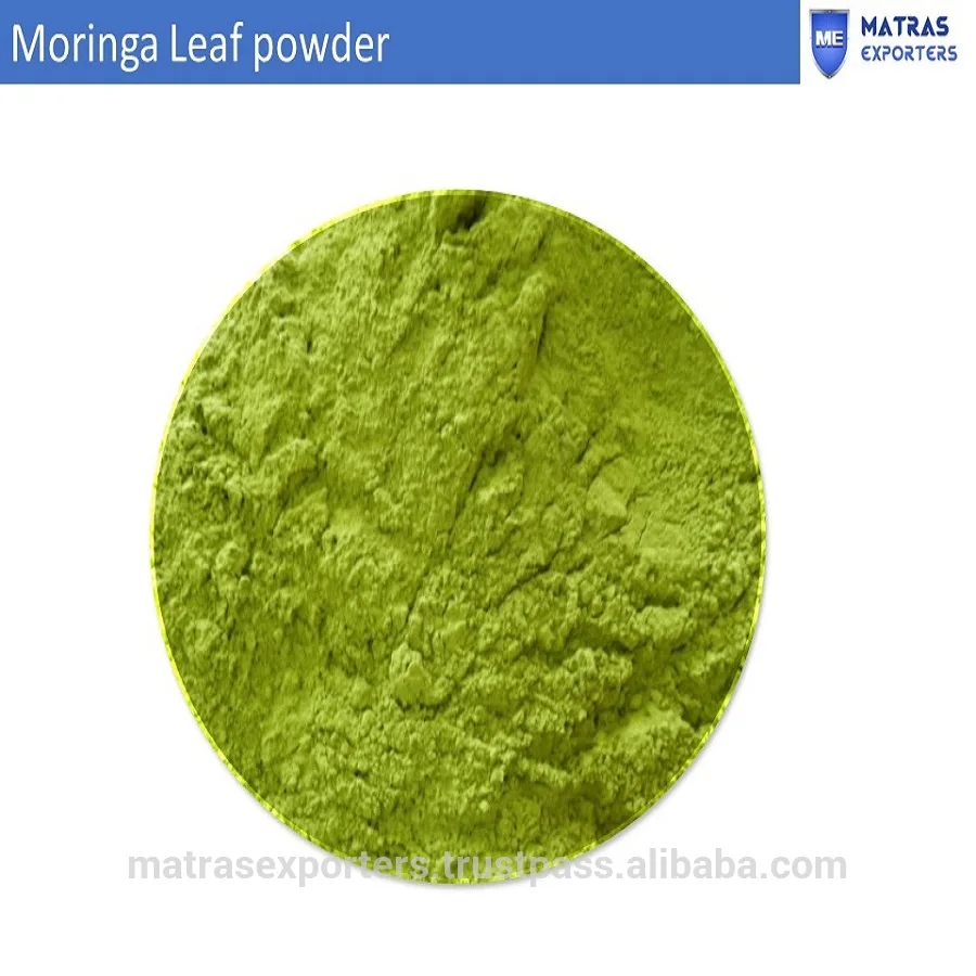 Moringa In India Wholesale | Moringa Suppliers- - Whatsapp: +91 73580 94554