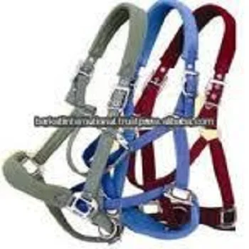 Leather Halter with Chain Lead.