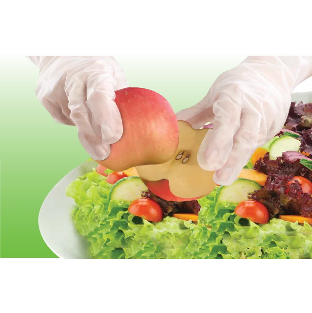 Household Gloves TOP GLOVE Daily Cleaning Disposable CPE Gloves Food Preparation Manufactures