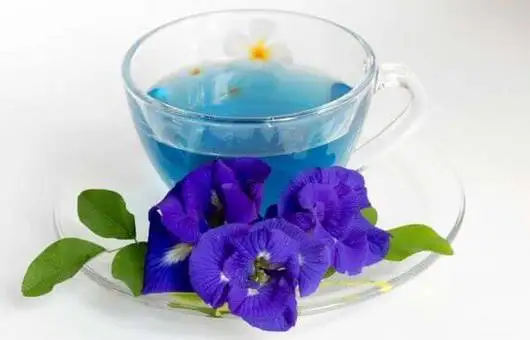Dried Butterfly pea flower / OEM and Private Label / Organic Certificate / Origin From Thailand / no pesticide / Herbal Tea