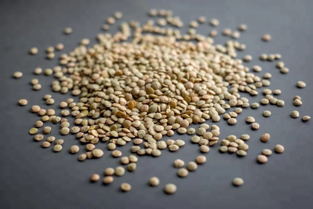 Поставка зеленой чечечевицы высшего качества