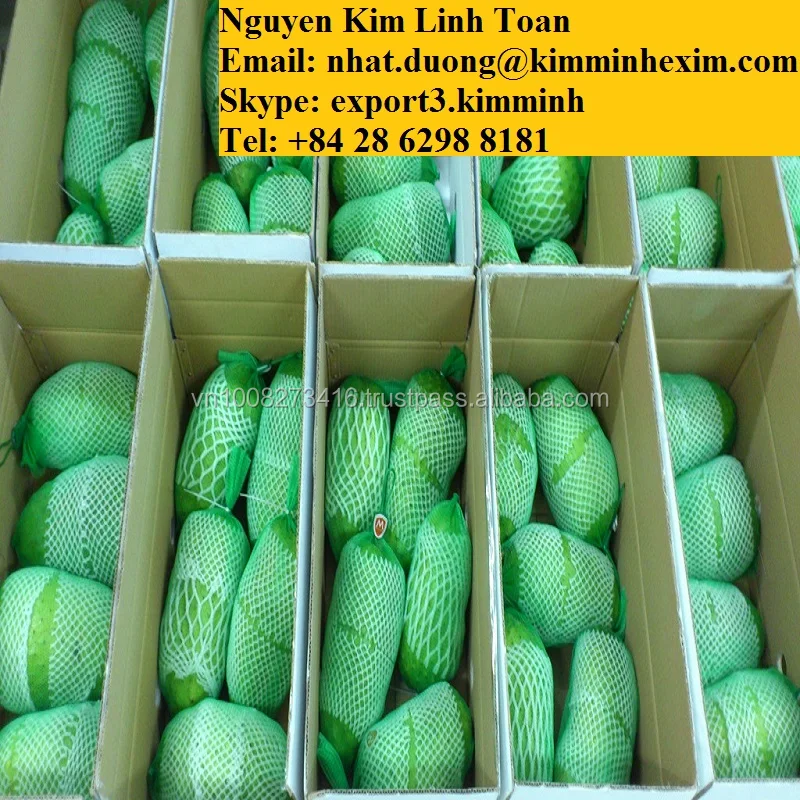 FRESH SOURSOP FRUIT (GRAVIOLA)