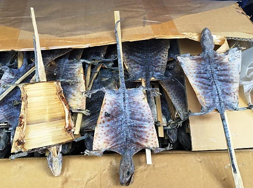 
DEHYDRATED FLYING GECKO - Vietnamese gecko/tokay gecko/ flying dried gecko 