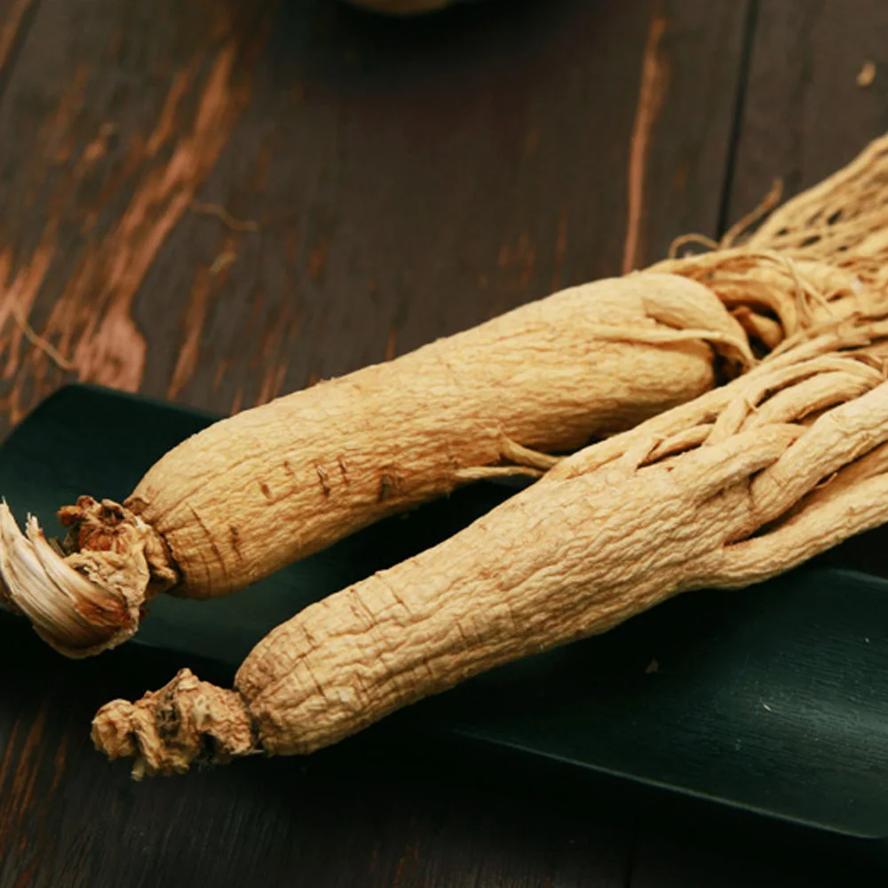 white & Red Ginseng Root for sale