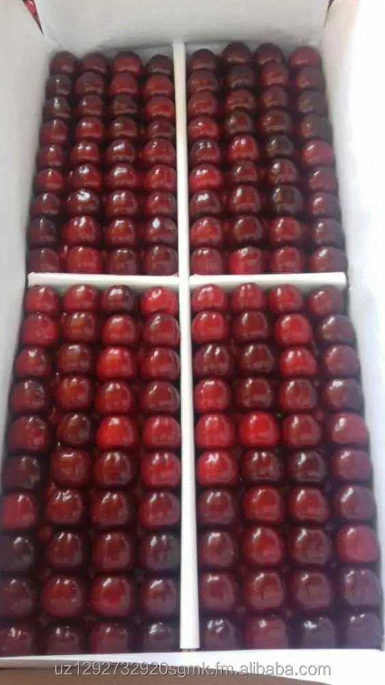 
fresh cherry wholesale fresh cherry fruit fresh cherry price 