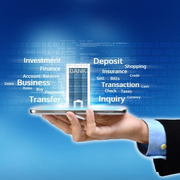 Finance Software Developmet