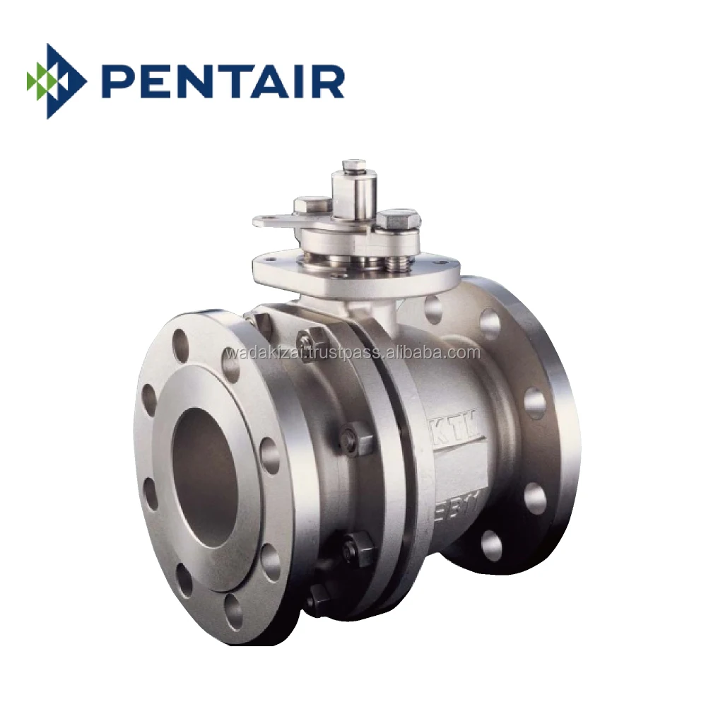 Durable and High quality selenoide de apagado PENTAIR VALVE with Hi Quality