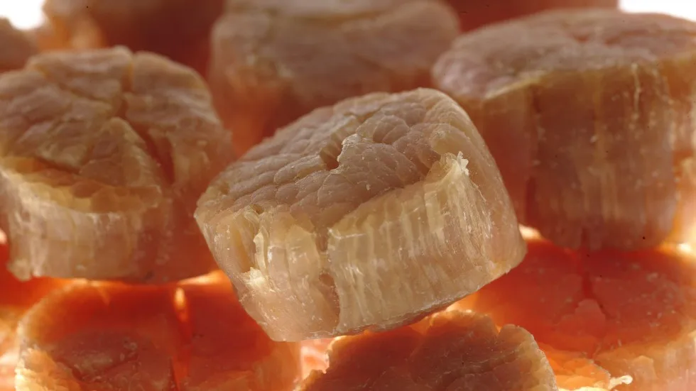 
Dried scallop / best seafood and dried scallop 