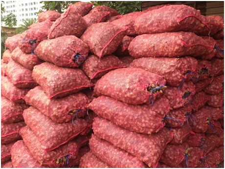 
VIETNAM FRESH GINGER 