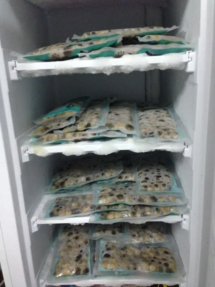 
TOP QUALITY! OFFER VIETNAMESE FROZEN STRAW MUSHROOM WITH HIGH QUALITY AND BEST PRICE 