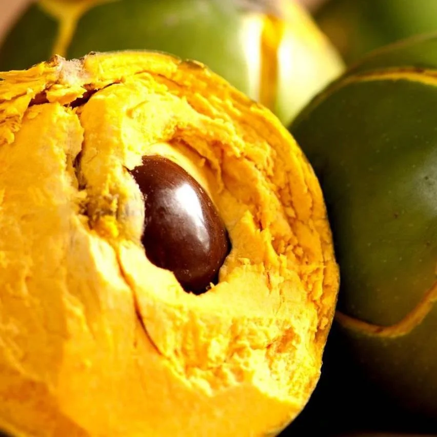 Быстрая доставка, органические фрукты люкума, предложение из Вьетнама/WHATSAPP + 84 845 639639