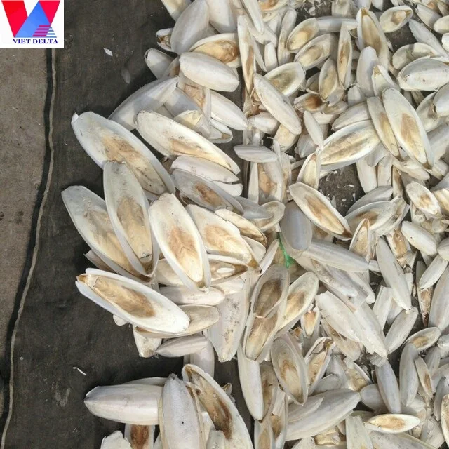
CUTTLE FISH BONE / HIGH-QUALITY ANIMAL FEED / HAI PIAO XIAO 