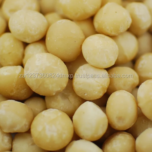 
BEST QUALITY MACADAMIA NUTS / CLASS 1 MACADAMIA NUTS 