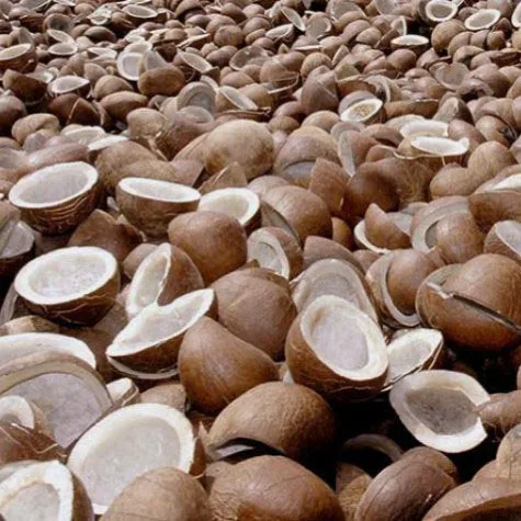 
Dried coconut ball copra / Dry coconut copra / ball copra 2018 with competitive price 
