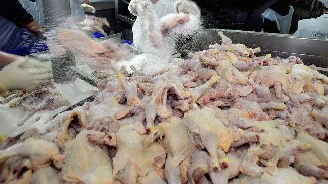 chicken feet best quality for sale - chicken paws frozen