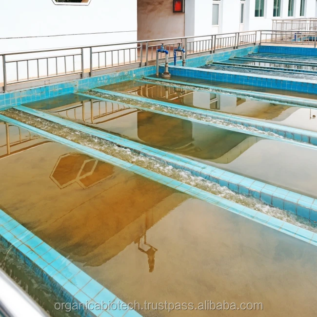 Bioaugmentation of wastewater treatment system with the help specialized microbes