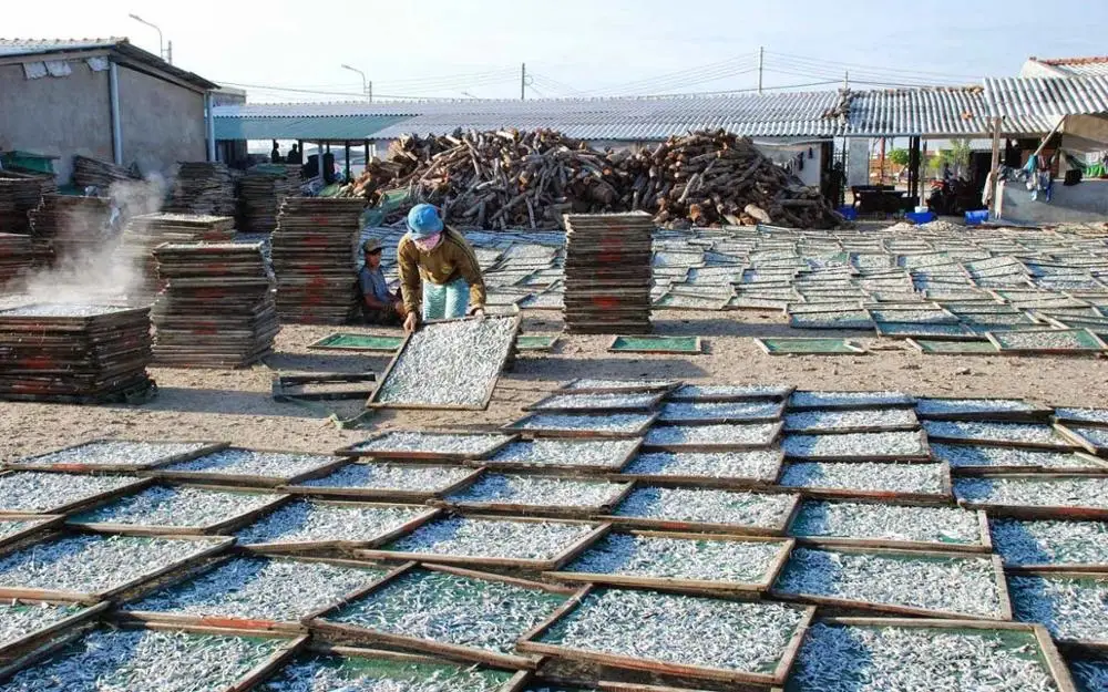 Vietnam Dry Fish Dried Anchovy - Sprats well dried Available