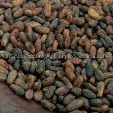 Good quality Dried Grade A Cocoa/ Cacao/ Chocolate bean Best Price