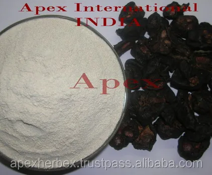 Garcinia Cambogia.Extract 40 Garcinia gummi-gutta fruit T Cut