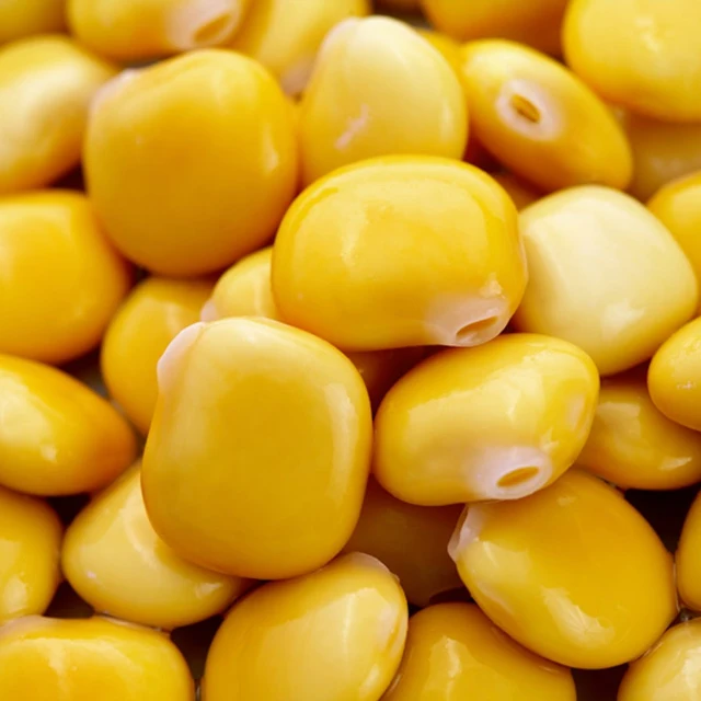  Бобы Lupins по низкой цене для продажи из