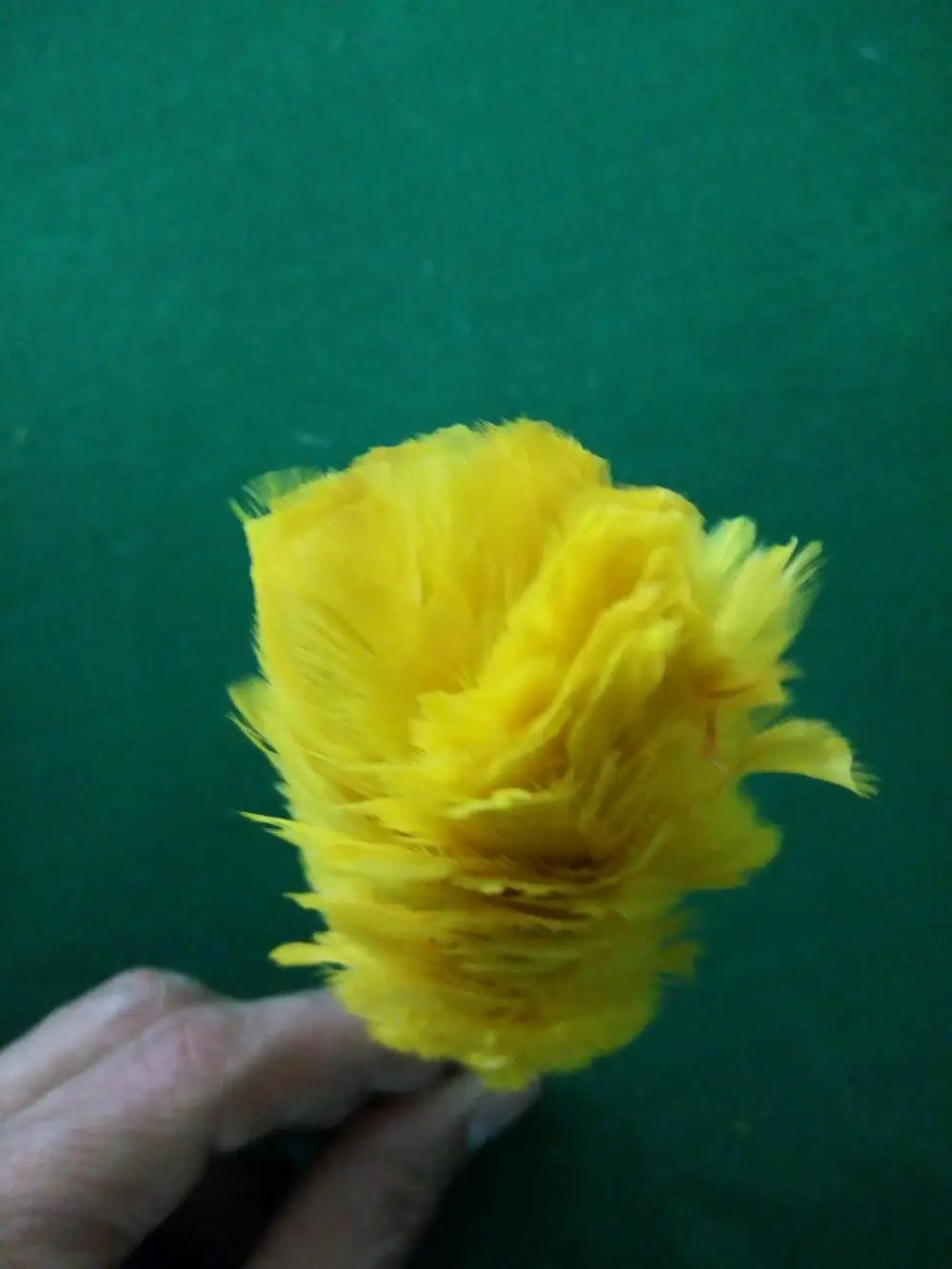 Beautiful Yellow Color Hackle Plume for Shako Hats Wholesale Manufactures Ready to Ship Hot Sale