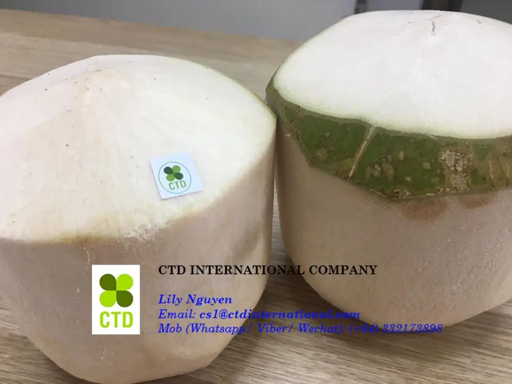 
FRESH GREEN COCONUT_VIETNAM 