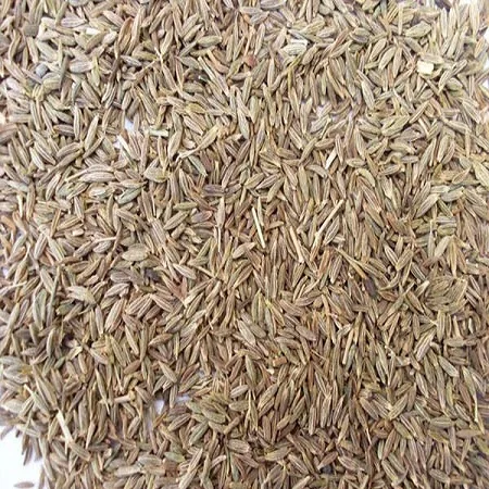 Best Wholesale supplier cumin seed from India 100% pure organic pack in 5kg 10kg 15kg bag with custom logo