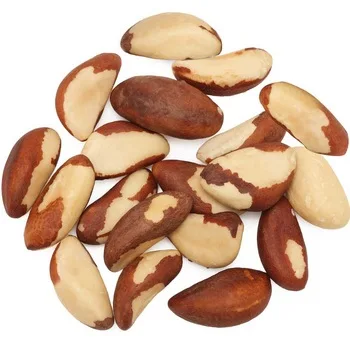 Benin White Cashew Kernels Fresh Cashew Nuts Kernels With Nice Price W180 W240 W320 W450