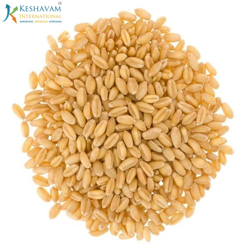 Индийский экспортер измельчения пшеницы