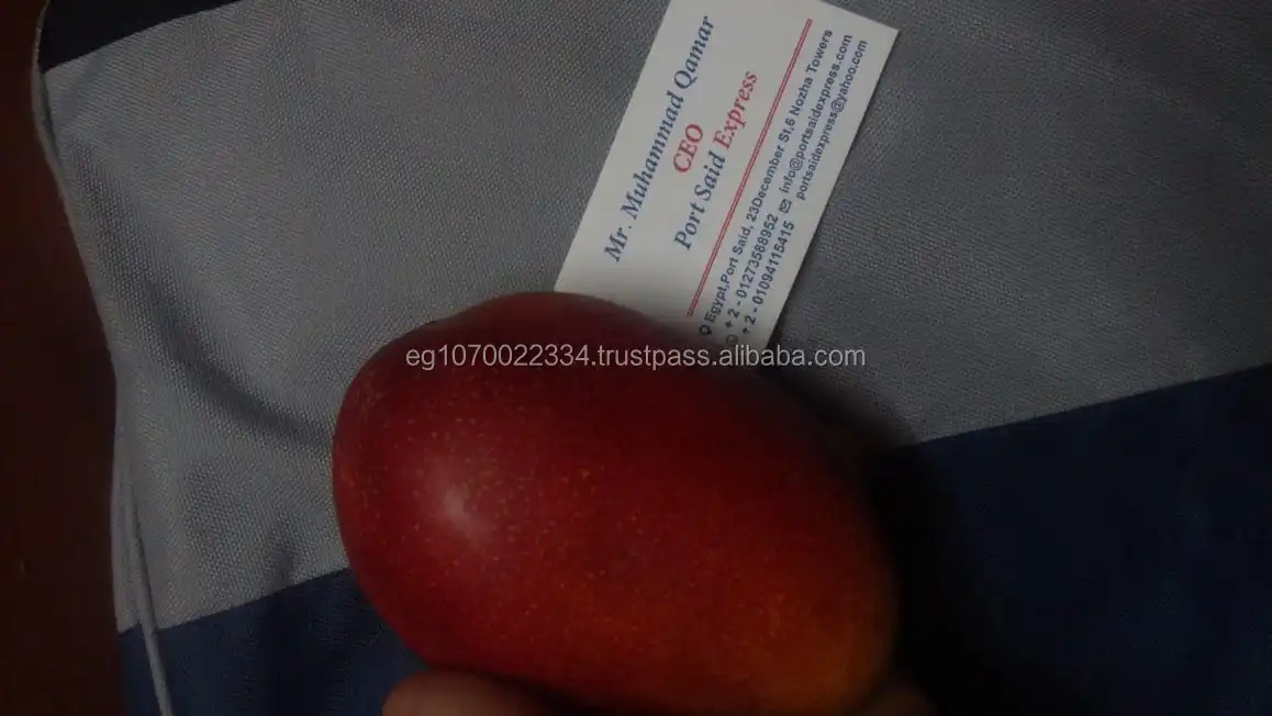 fresh mango fruit ready to export to China