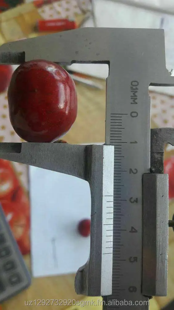 
fresh cherry wholesale fresh cherry fruit fresh cherry price 