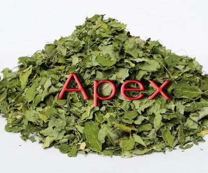Moringa Oleifera Leaves Dried Moringa Leaf Powder TBC T CUT