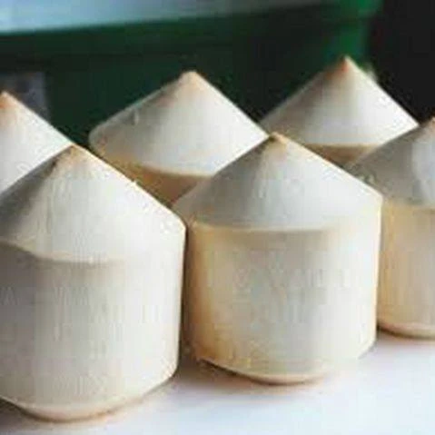 Кокосовый алмаз резка Ms праздник