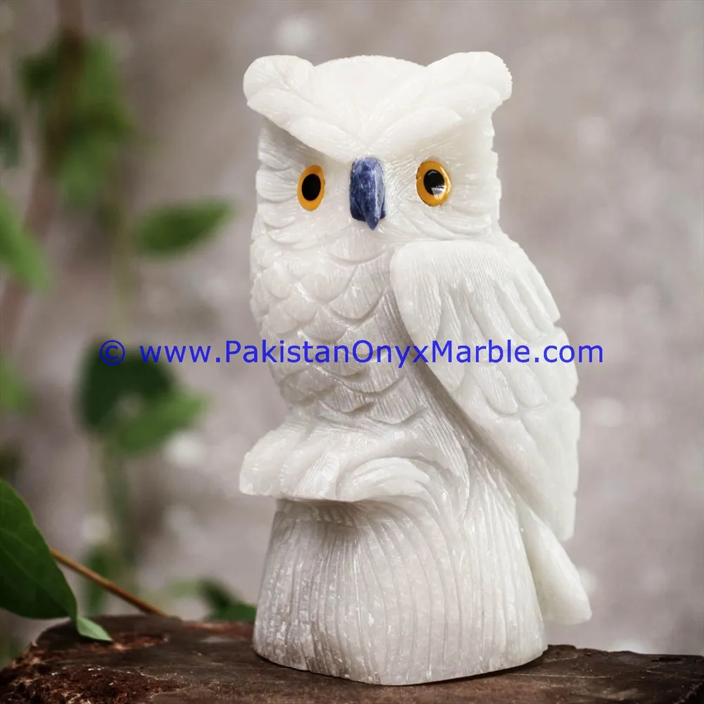 Stone carving marble birds owls statue sculpture figurine handcarved natural stone black white fossil red beige