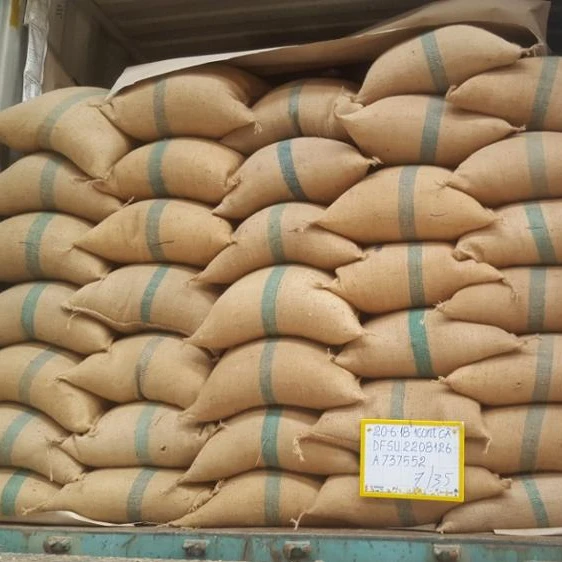 
VIETNAM ROBUSTA COFFEE BEAN SCR 13, 16, 18 (Mob/ whatsapp/ viber: 0084 989322607) 