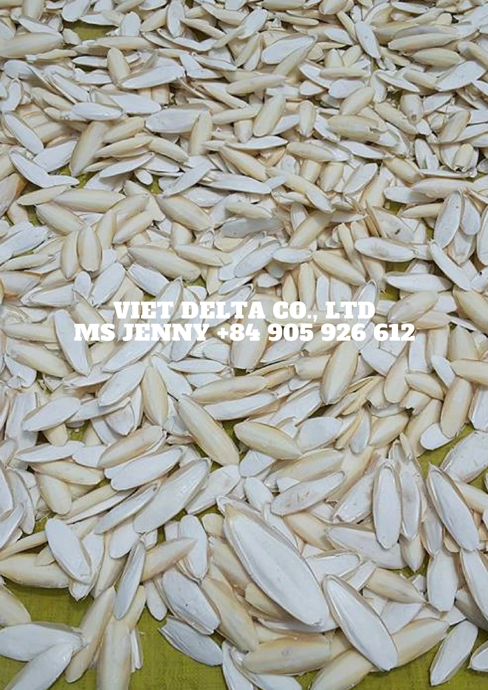 PET FOOD/ BIRD FOOD/ CUTTLEFISH BONE HIGH QUALITY (Jenny +84 905 926 612)