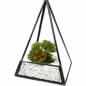 STYLES DESIGN PLANT TERRARIUM NICE DESIGN TABLE TOP PLANT HOLDER HOME DECORATIVE TERRARIUM