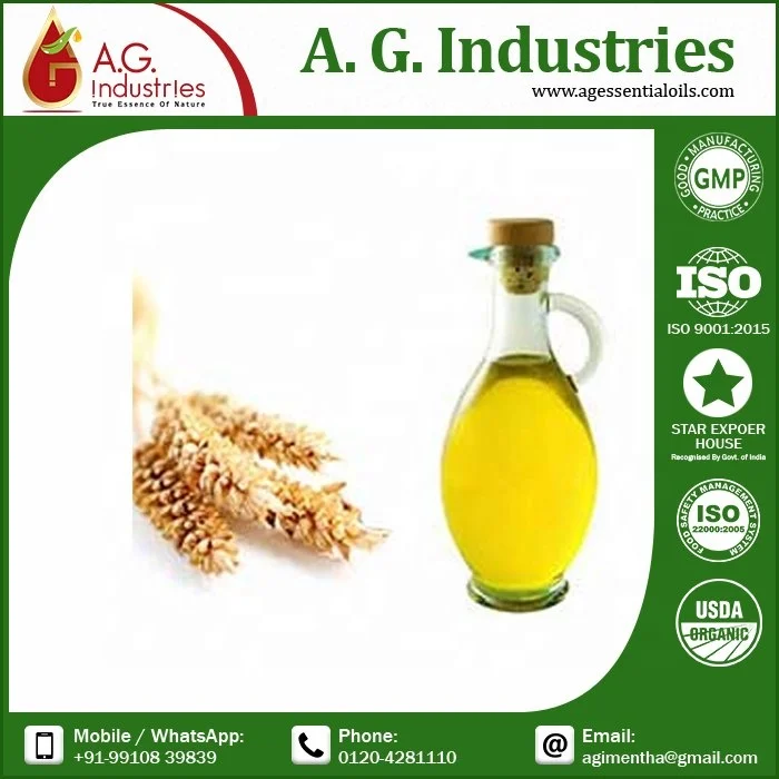 Natural Cold Pressed Wheatgerm Oil Supply to Apply on Skin And Hair buy pure wheatgerm oil from india larges manufacturers