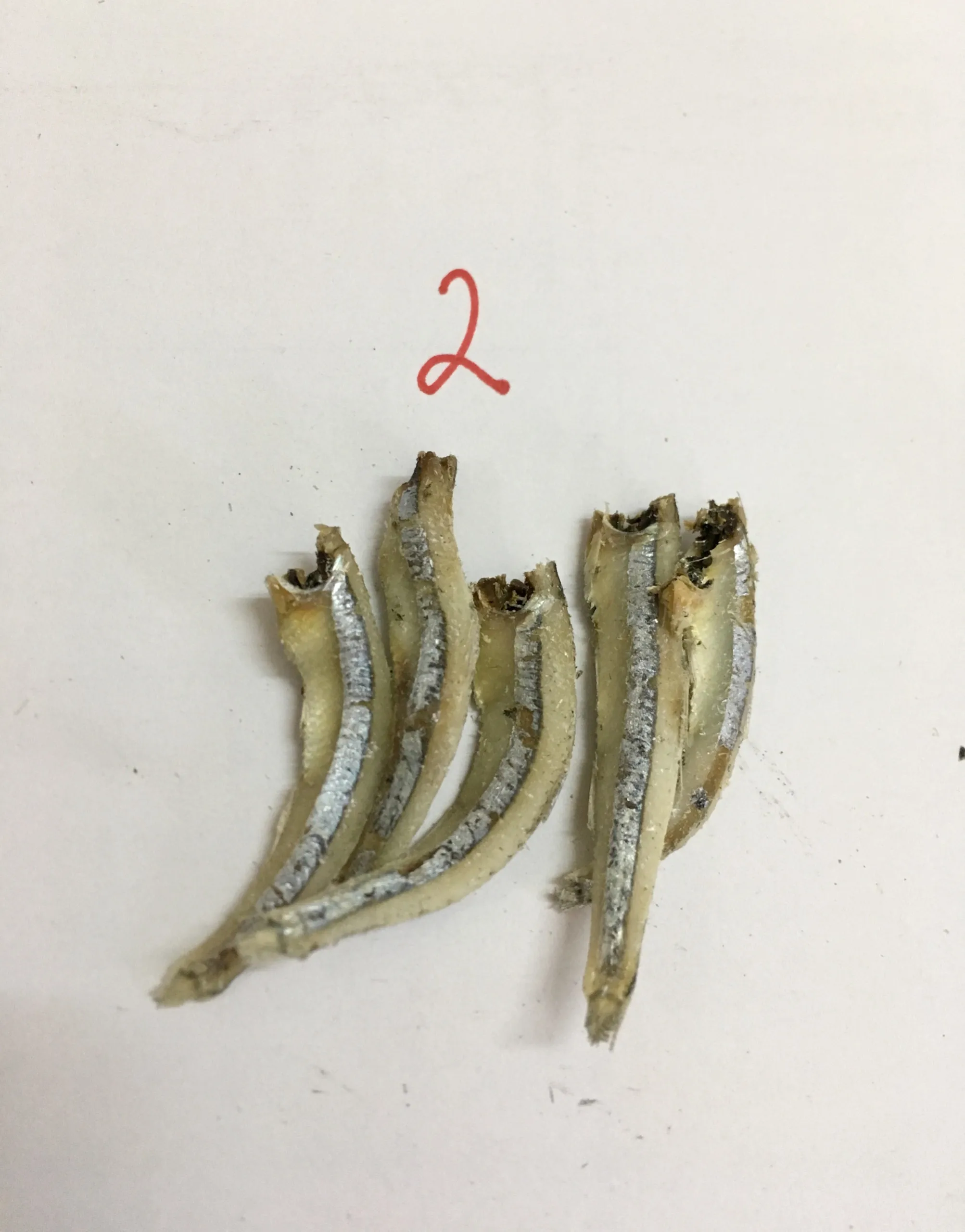 Vietnam Dry Fish Dried Anchovy - Sprats well dried Available