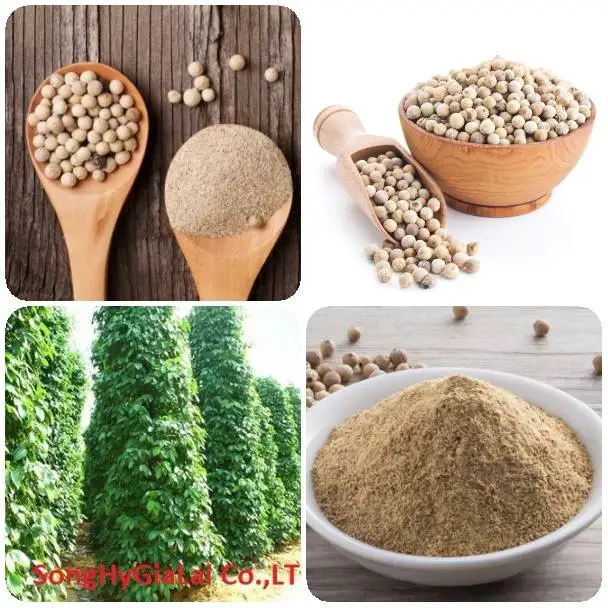  Белый перец двойная промывка 630 г/л высокое качество вьетнамское происхождение