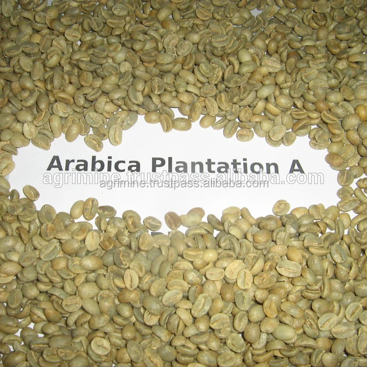 HIGH QUALITY NATURAL HEALTHY SUPER AROMA INDIAN GREEN COFFEE BEAN SUPPLIER AND EXPORTER