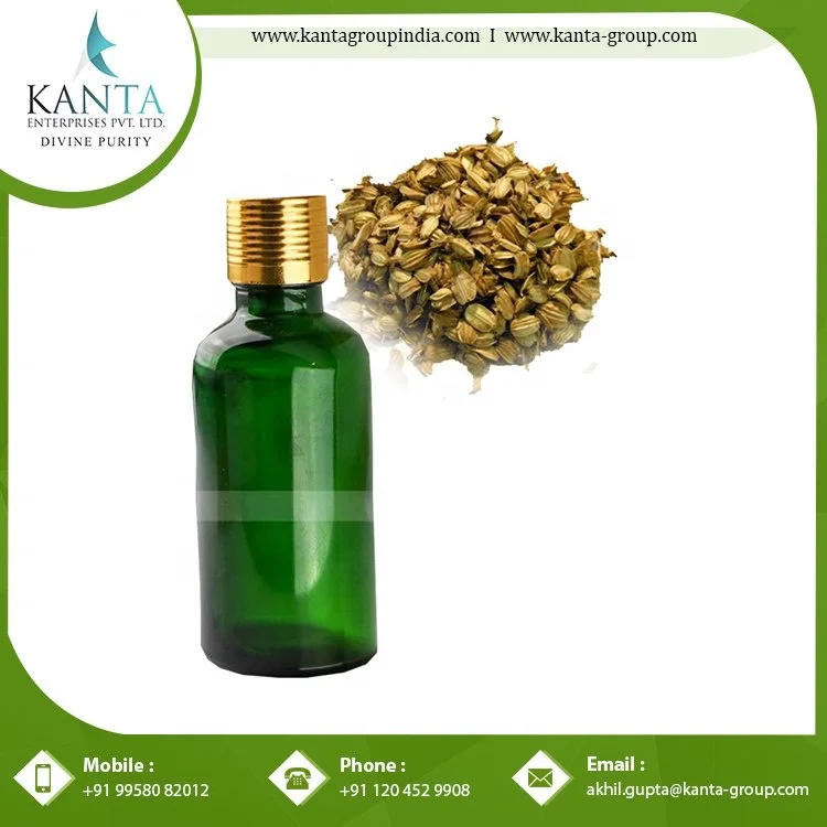 Pure Organic Angelica Essential Oil  helps in Protecting the Liver Available at Best Price in India