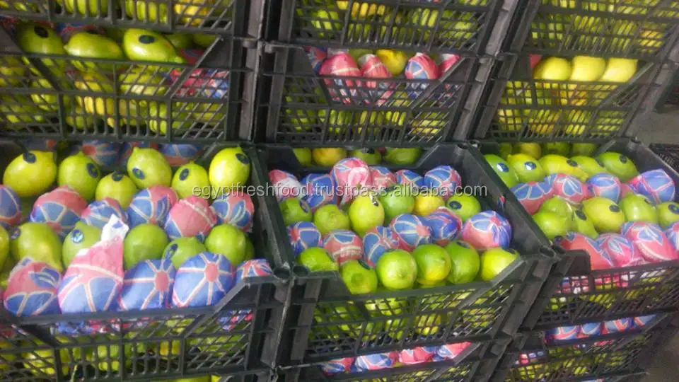 
Fresh Lemon , Citrus Lemon from Egypt , ready to export from our farms season 2020 