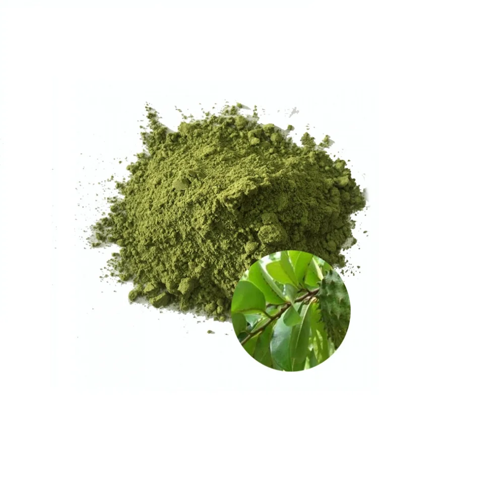High Quality Soursop Leaves Extract Powder (Mekong Herbals) Mrs Ella Nguyen: Webchat: cellphone: +84938898920