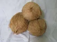 Fresh Organic Matured Coconut